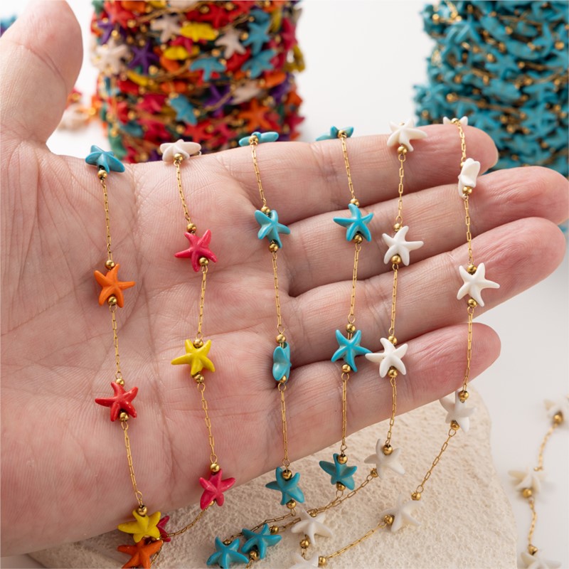 1Meter Stainless Steel Starfis - Pearl Trim Chain recension och pris